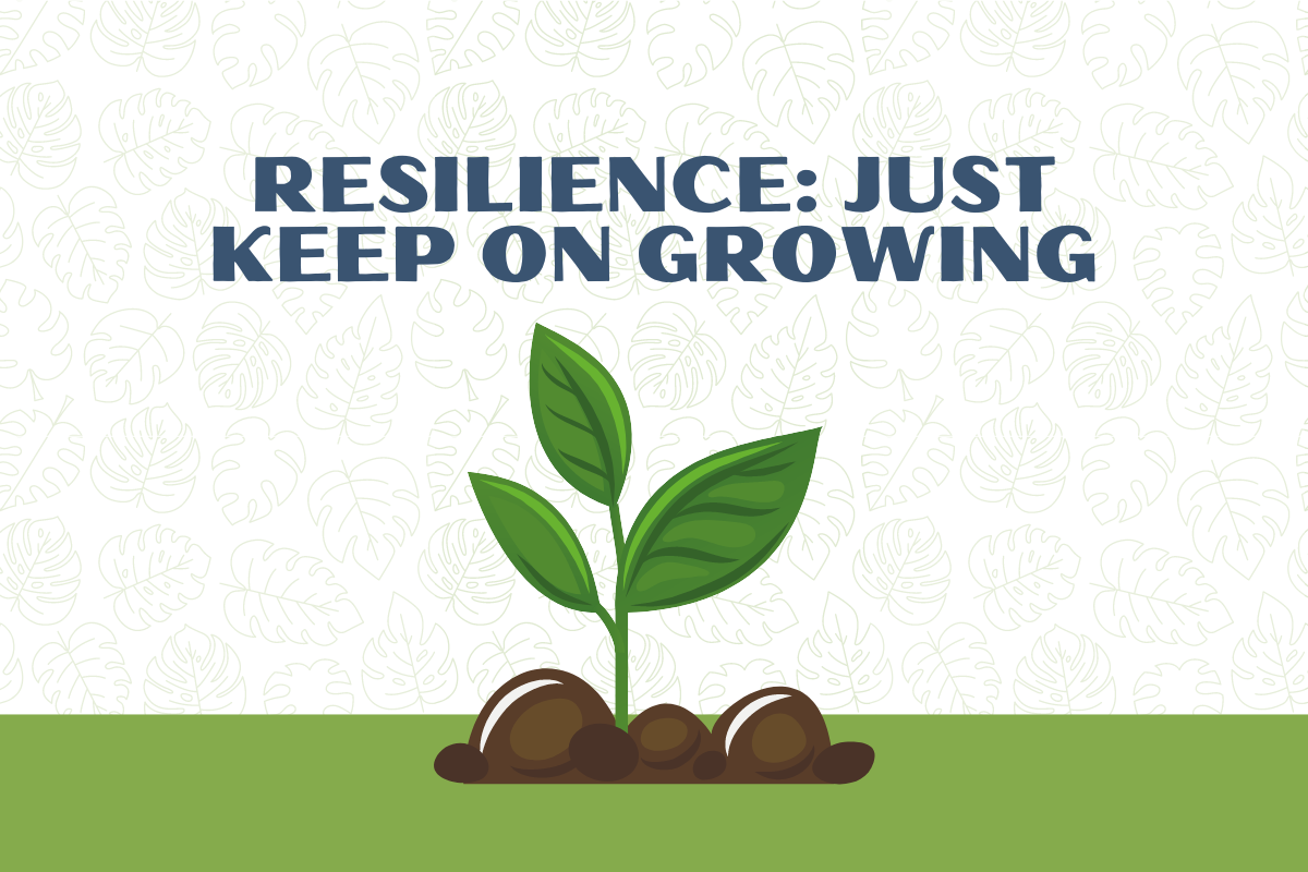 Featured image for “Resilience: Just Keep On Growing”